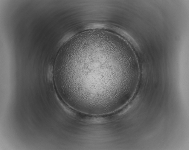 X0000112381233200908201516