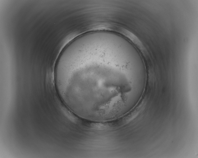 X0000112381234200908201516