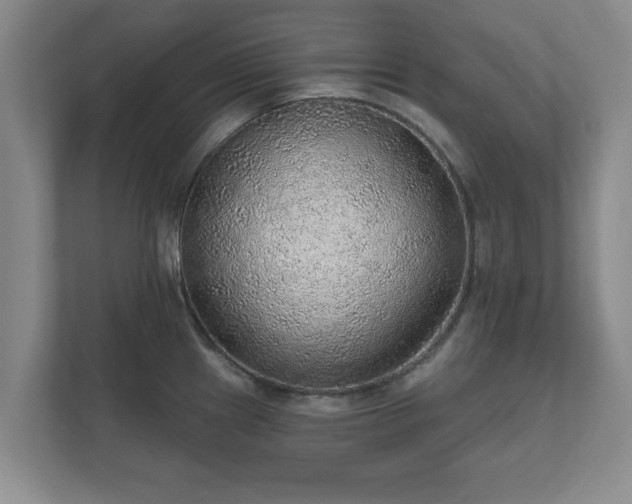 X0000112381241200908201516