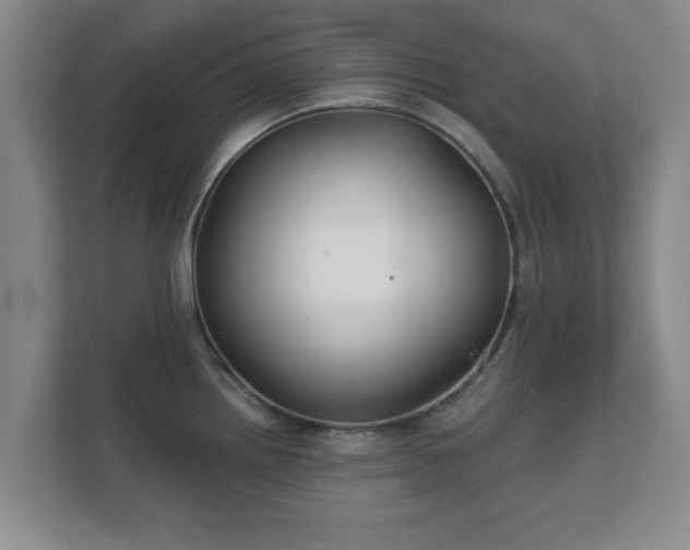 X0000112381242200908201516