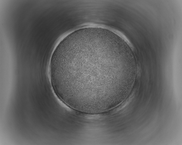 X0000112381247200908201516