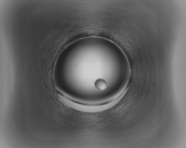 X0000112381249200908201515