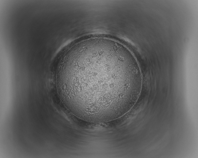 X0000112381255200908201515