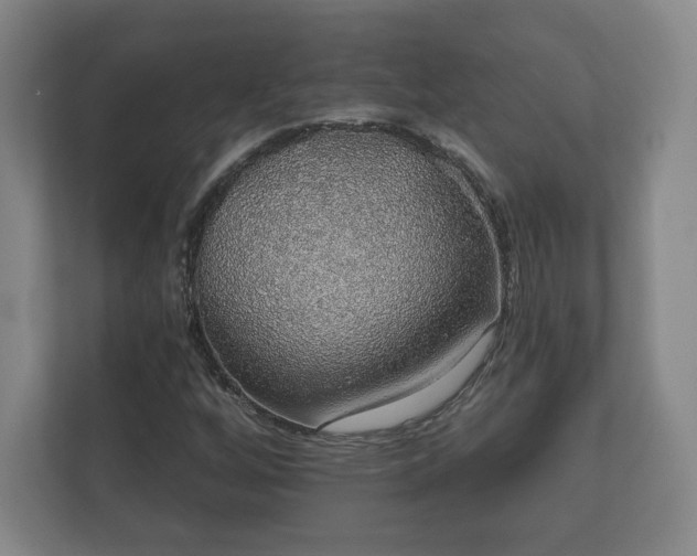 X0000112381256200908201515