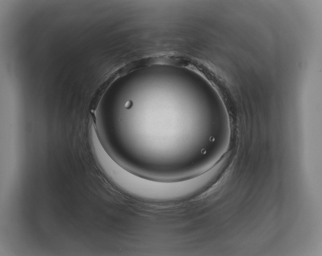 X0000112381257200908201515