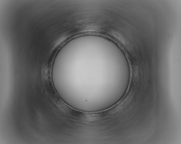 X0000112381258200908201515