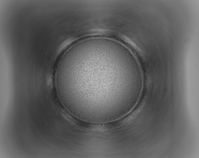 X0000112381259200908201515