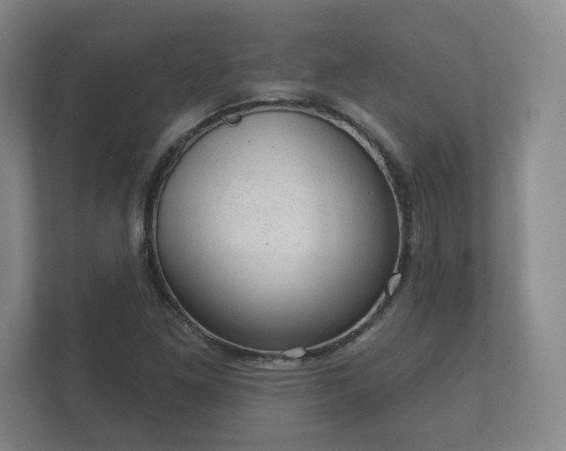 X0000112381261200908201515