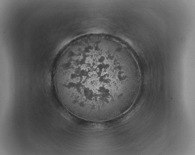 X0000112381263200908201515