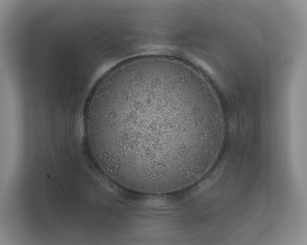 X0000112381267200908201515