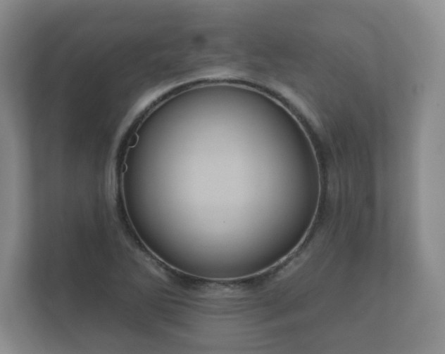 X0000112381270200908201515