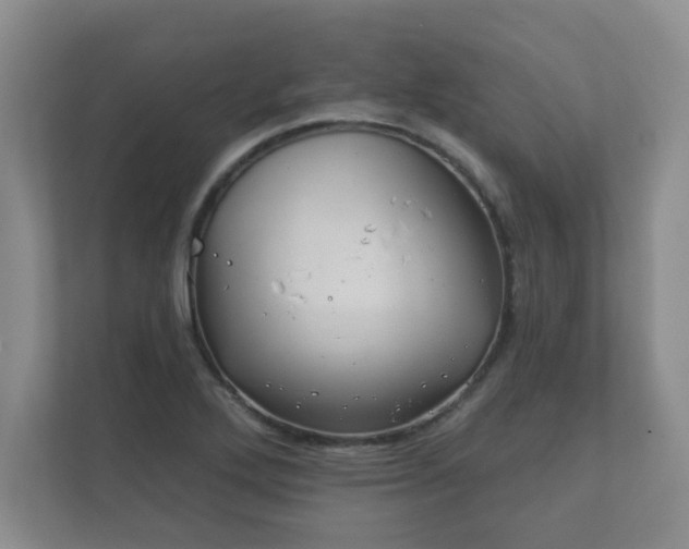 X0000112381272200908201515