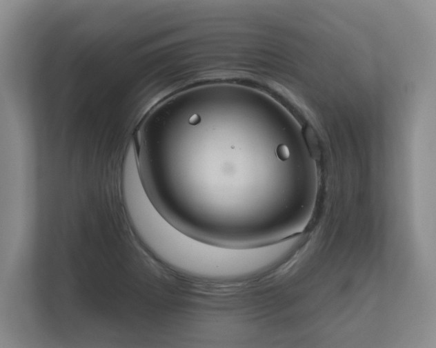 X0000112381273200908201515