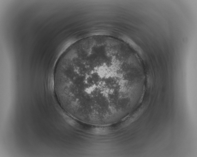 X0000112381274200908201515