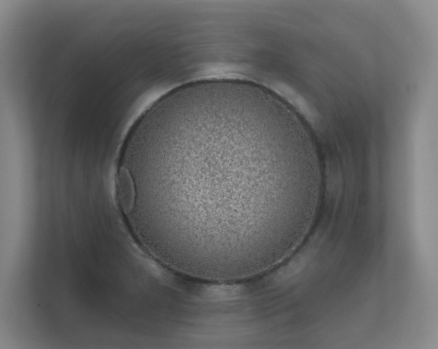 X0000112381277200908201515