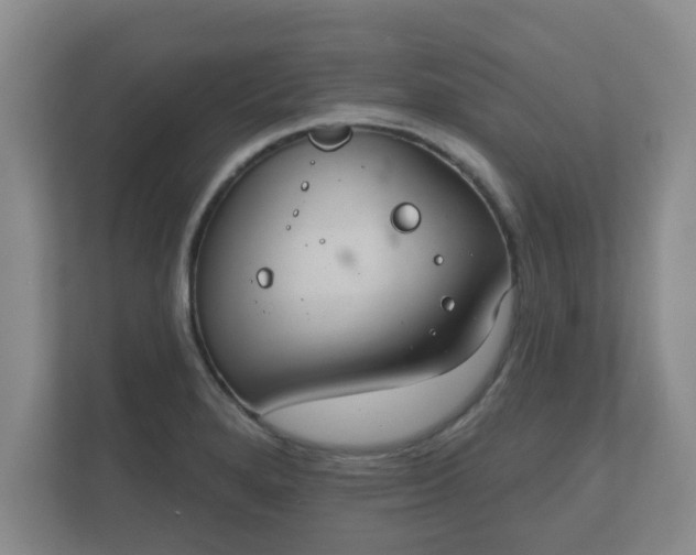 X0000112381280200908201515