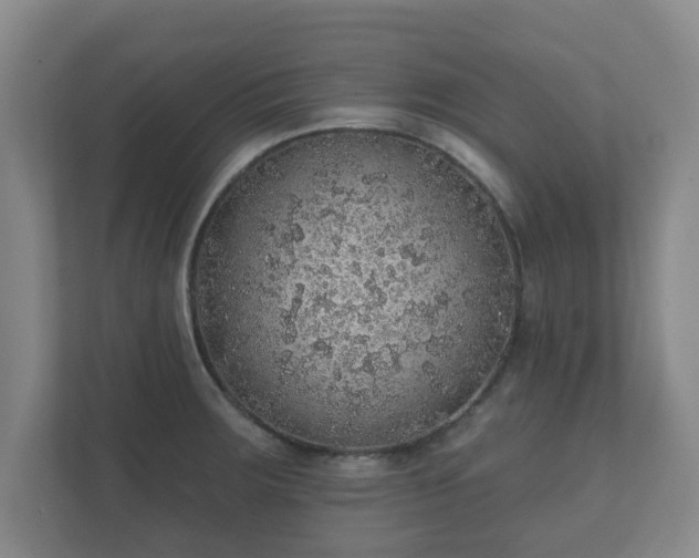 X0000112381283200908201515