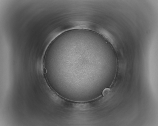 X0000112381284200908201515