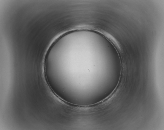 X0000112381288200908201515