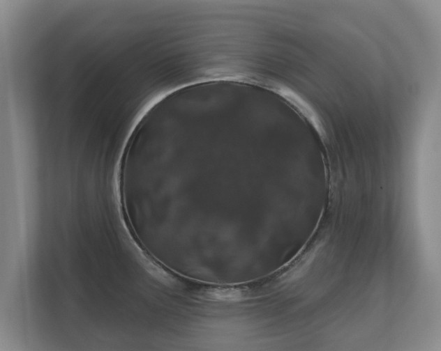 X0000112381291200908201515