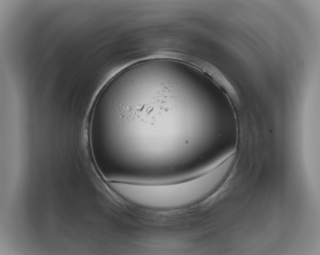 X0000112381292200908201515