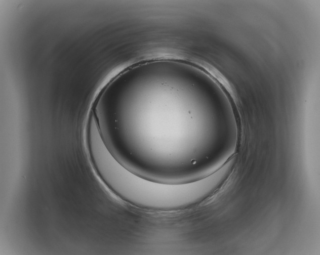 X0000112381293200908201515