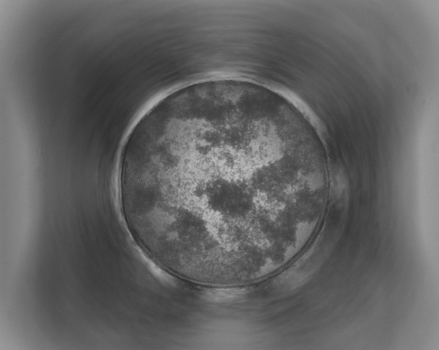 X0000112381294200908201515