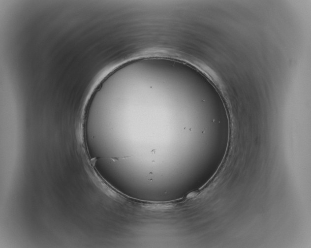 X0000112381296200908201514