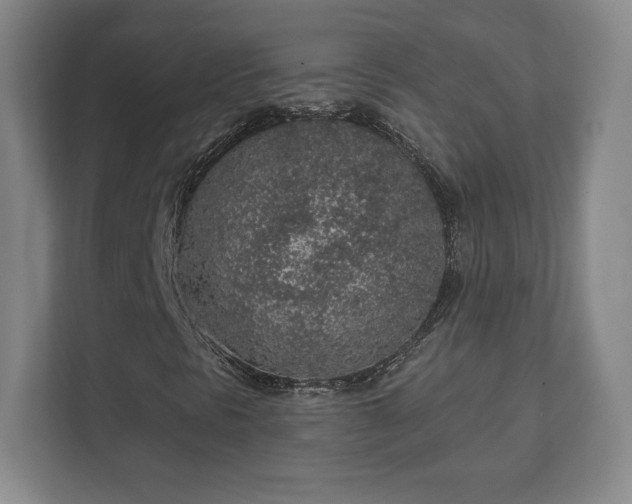 X0000112381297200908201514