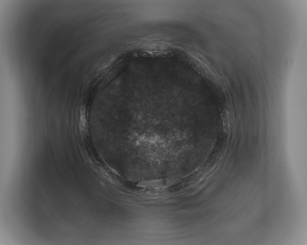 X0000112381298200908201514