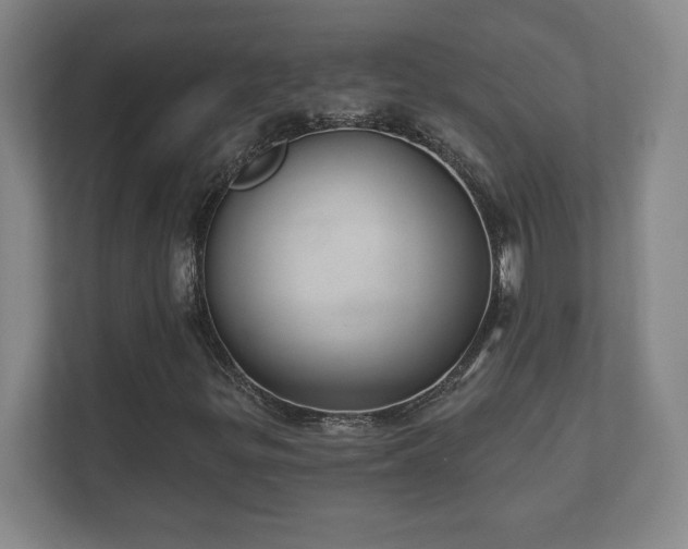 X0000112381299200908201514