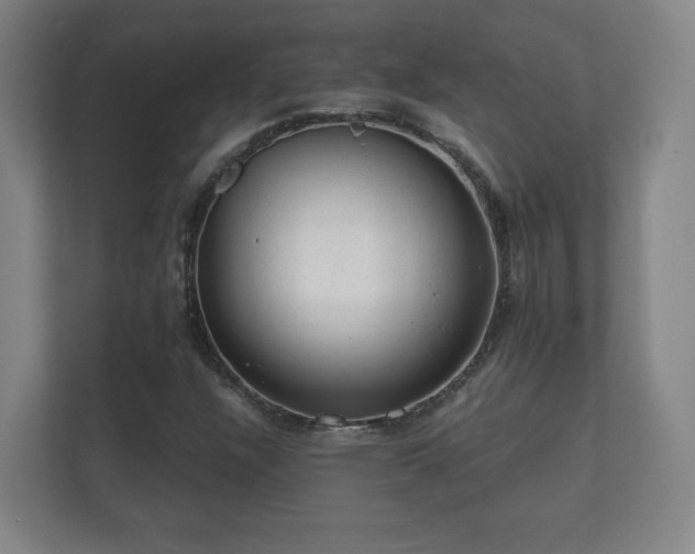 X0000112381304200908201514