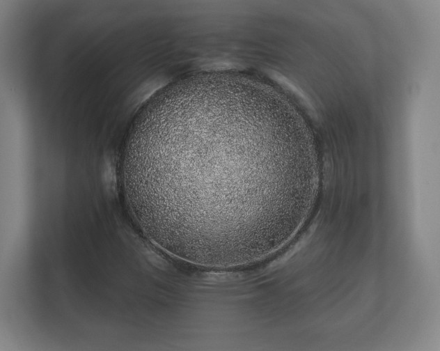 X0000112381305200908201514