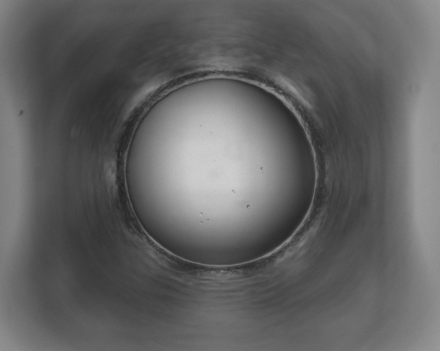 X0000112381307200908201514