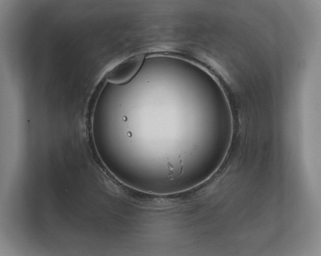 X0000112381308200908201514