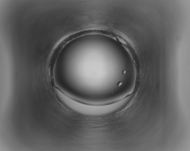 X0000112381310200908201514