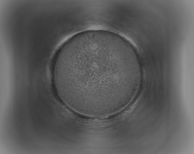 X0000112381311200908201514