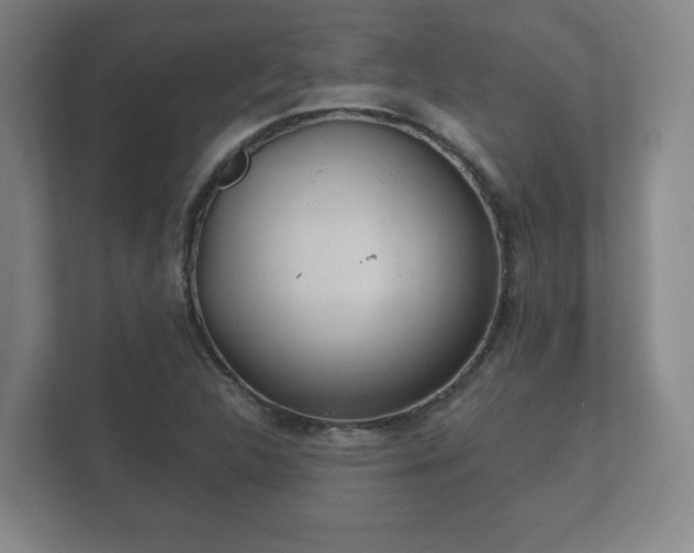 X0000112381312200908201514