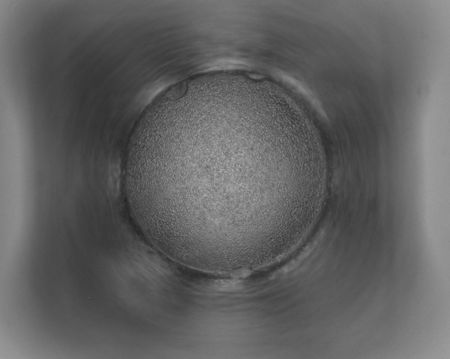 X0000112381313200908201514