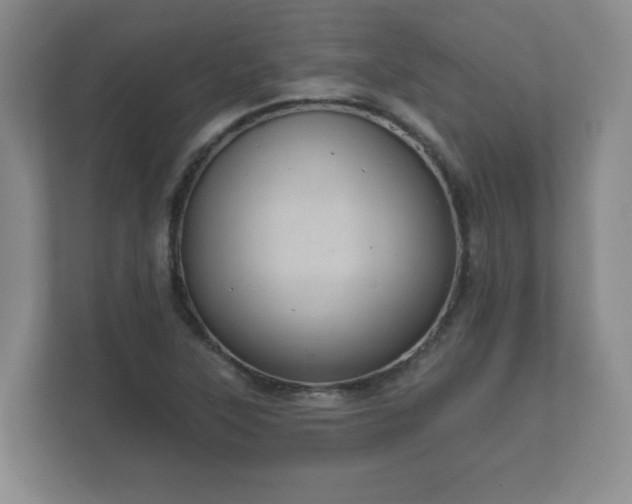 X0000112381315200908201514