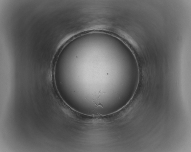 X0000112381316200908201514