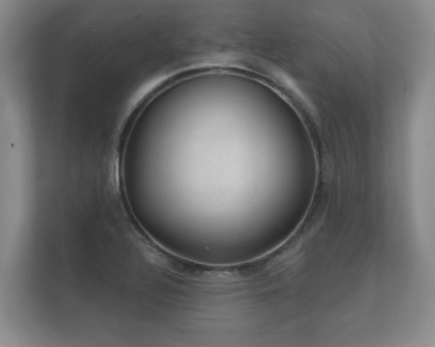 X0000112381320200908201514