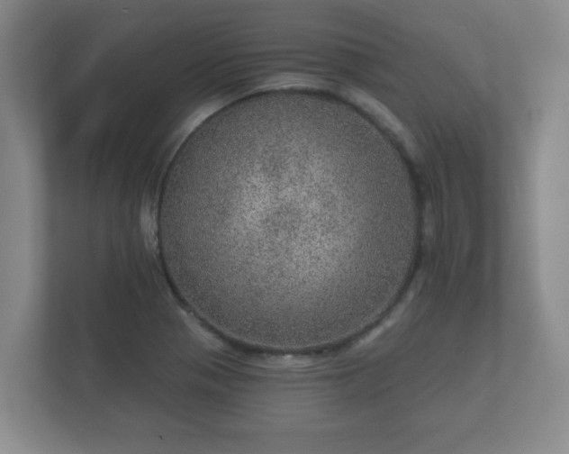 X0000112381321200908201514