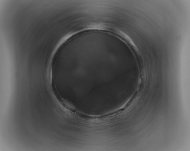 X0000112381323200908201514