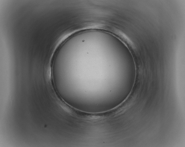 X0000112381324200908201514