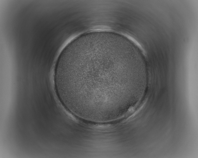 X0000112381325200908201514