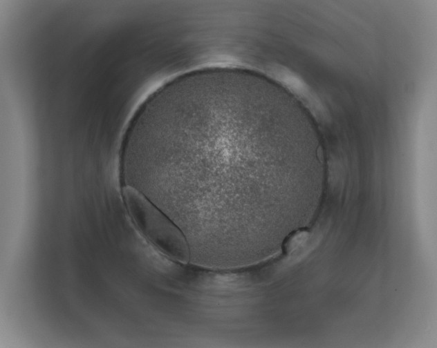 X0000112381326200908201514