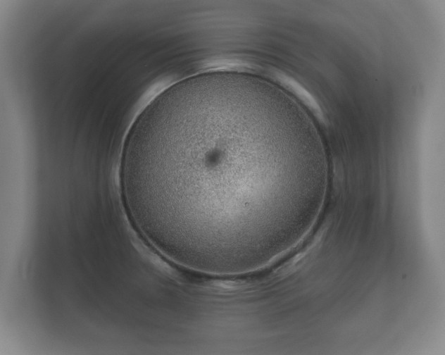 X0000112381330200908201514