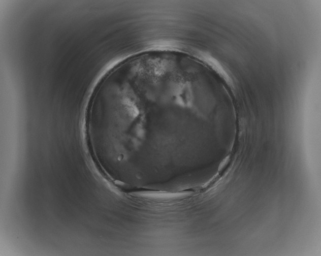 X0000112381331200908201514