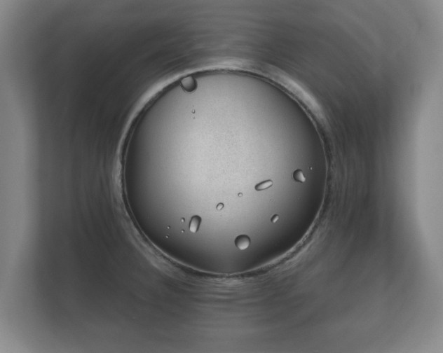 X0000112381332200908201514